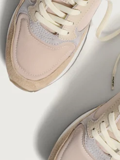 Damen HOFF City-ANTIBES