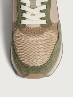 Damen HOFF City-BILOXI