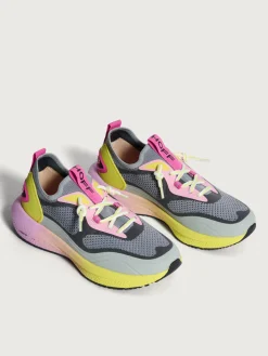 Damen HOFF Dynamic-BLAZE