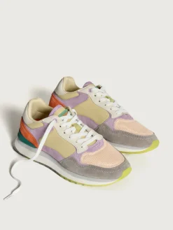 Damen HOFF City-DANA POINT