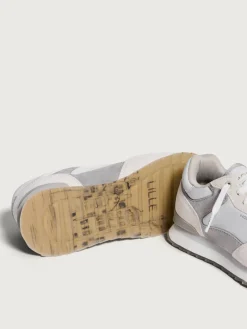 Damen HOFF City-LILLE