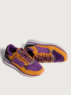 Damen HOFF City-MODENA