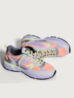 Damen HOFF State-PENNSYLVANIA