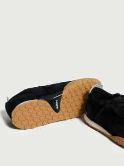 Damen HOFF Bird-ROYAL TERN