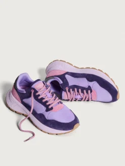 Damen HOFF City Mk Ii-SHANGHAI II