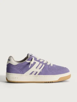 Damen HOFF Metro-SOL