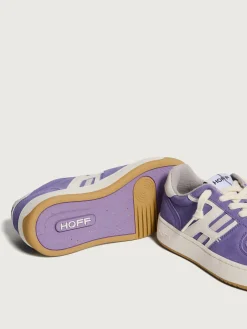 Damen HOFF Metro-SOL