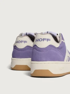 Damen HOFF Metro-SOL