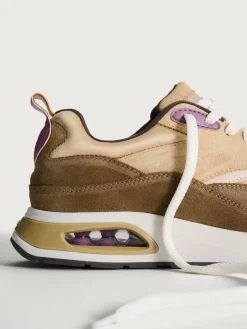 Damen HOFF Skyline-TODAI JI