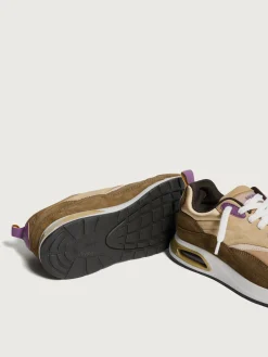 Damen HOFF Skyline-TODAI JI