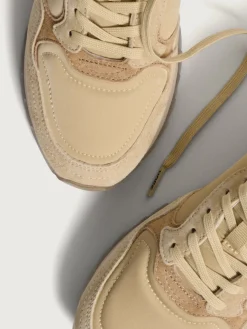 Damen HOFF City-TRIESTE